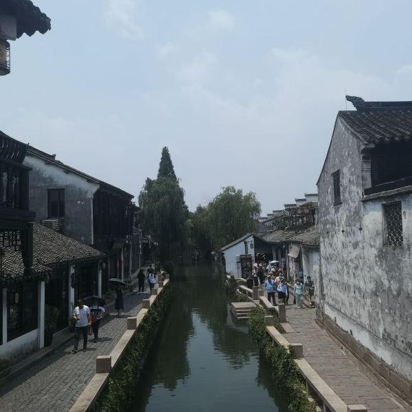 麦趣尔被立案调查,停止生产纯牛奶,这件事的后续会如何发展?-专业有问必答平台